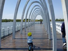 -大兴滨河森林公园