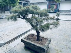 -南阳府衙