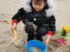 -九龙湖公园