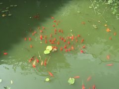 -苏州文旅花间堂·探花府酒店