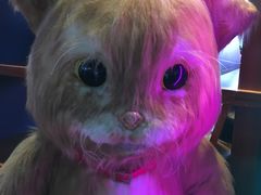 -沃美影城焕影岛LED/中国巨幕(万象汇店)