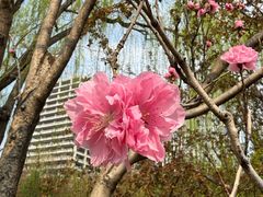 -元大都城垣遗址公园