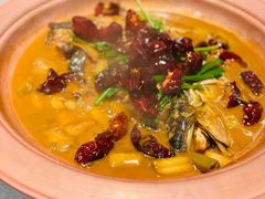 -柿合缘新京菜(国金中心商场店)
