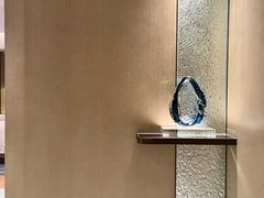 -深圳国际会展中心希尔顿酒店(前海华发冰雪世界店)