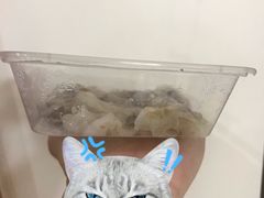 -山水肠粉(盐田店)