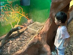 -上海大自然野生昆虫馆(东方明珠·爬宠昆虫探索中心)