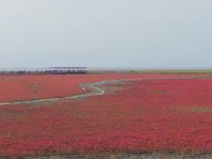 -桃源新村双台子店