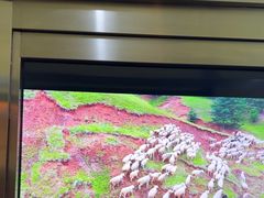 -河坝烧烤串城(金达莱店)