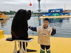 -秦皇岛乐岛海洋王国