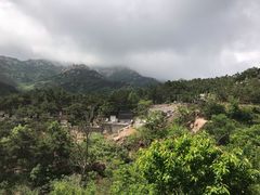 -北宅大永樱桃采摘基地(崂山总部)