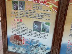 -石家庄市动物园