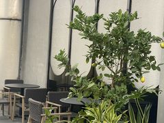 -栢里酒店(广州上下九步行街店)