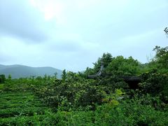 -九龙潭景区