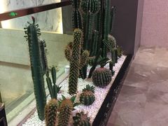 -海玥荟海鲜姿造自助餐厅(欧罗巴广场店)