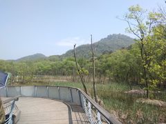 -西湖风景区-江洋畈生态公园