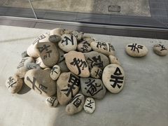 -金泽21世纪美术馆