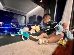 -上海龙之梦万丽酒店