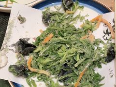 -中苑海韵