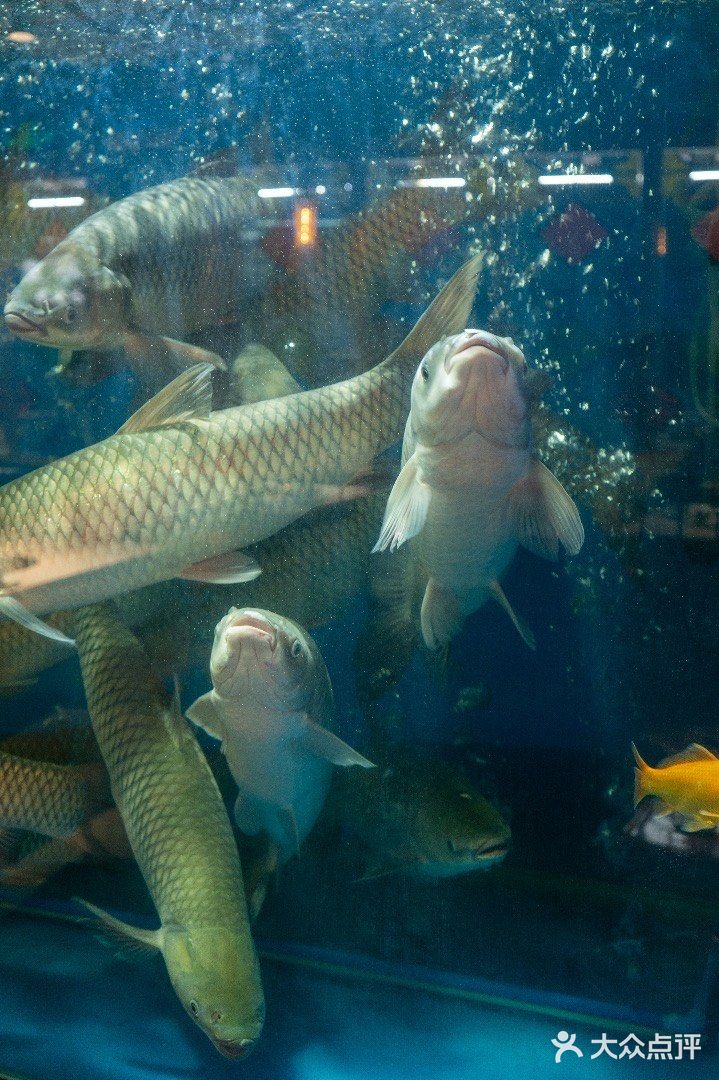 男朋友在火锅店给我煮粥，好感动🥲