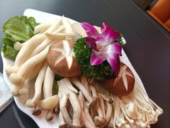 -淼福猪肚鸡·椰子鸡火锅(大沙地店)