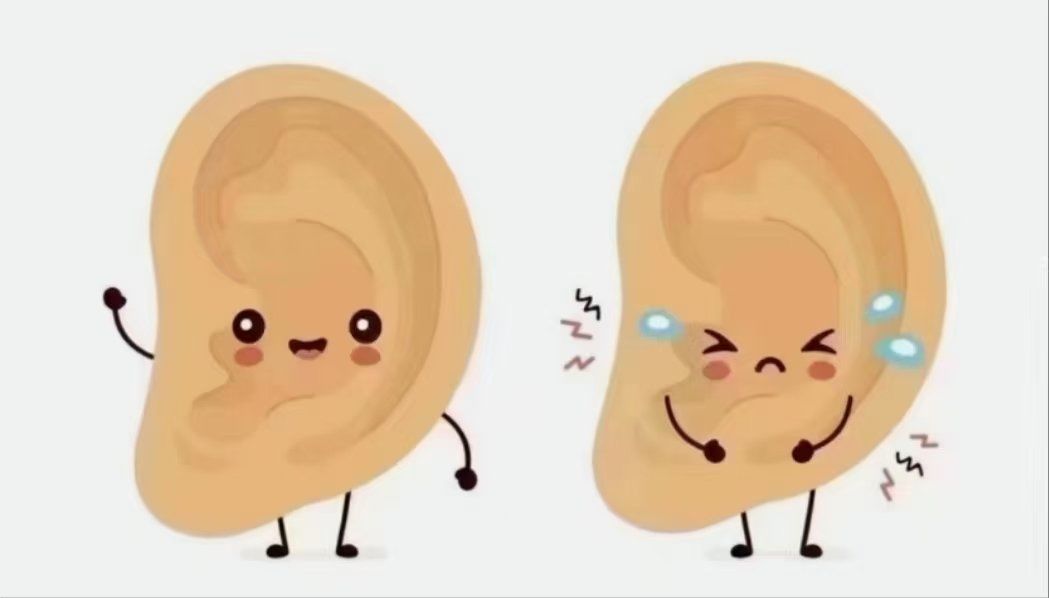 按压耳朵养五脏;
第三:揉耳朵外缘,强健四肢;
第四:掐耳朵三角区