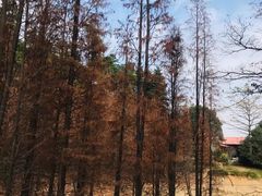 -广州市帽峰山景区