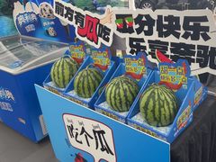 -奔驰利星行(北京花乡店)