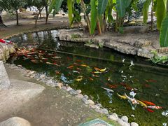 -南通洲际绿博园