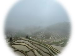 -紫鹊界梯田景区