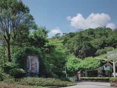 -广州白江湖森林公园