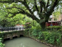 -古堰画乡景区