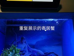 -海合安青岛极地海洋公园