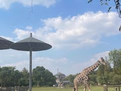 -宁波野生动物园