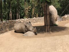 -北京野生动物园