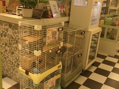 -龙猫仔乐园(惠福东路店)