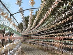 -上膳源有机农场