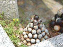 -胡里山炮台