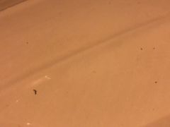 -天津波士信达奔驰4S店(卫津南路店)