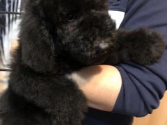 -华夏良子·足道SPA艾灸(铁道大厦店)