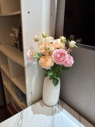 -哈颜科技轻美·