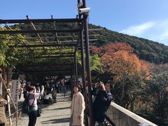 -有栖山 清光院 清水寺