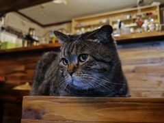 -云端咖啡私房店(河松街店)