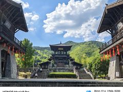 -大唐贡茶院