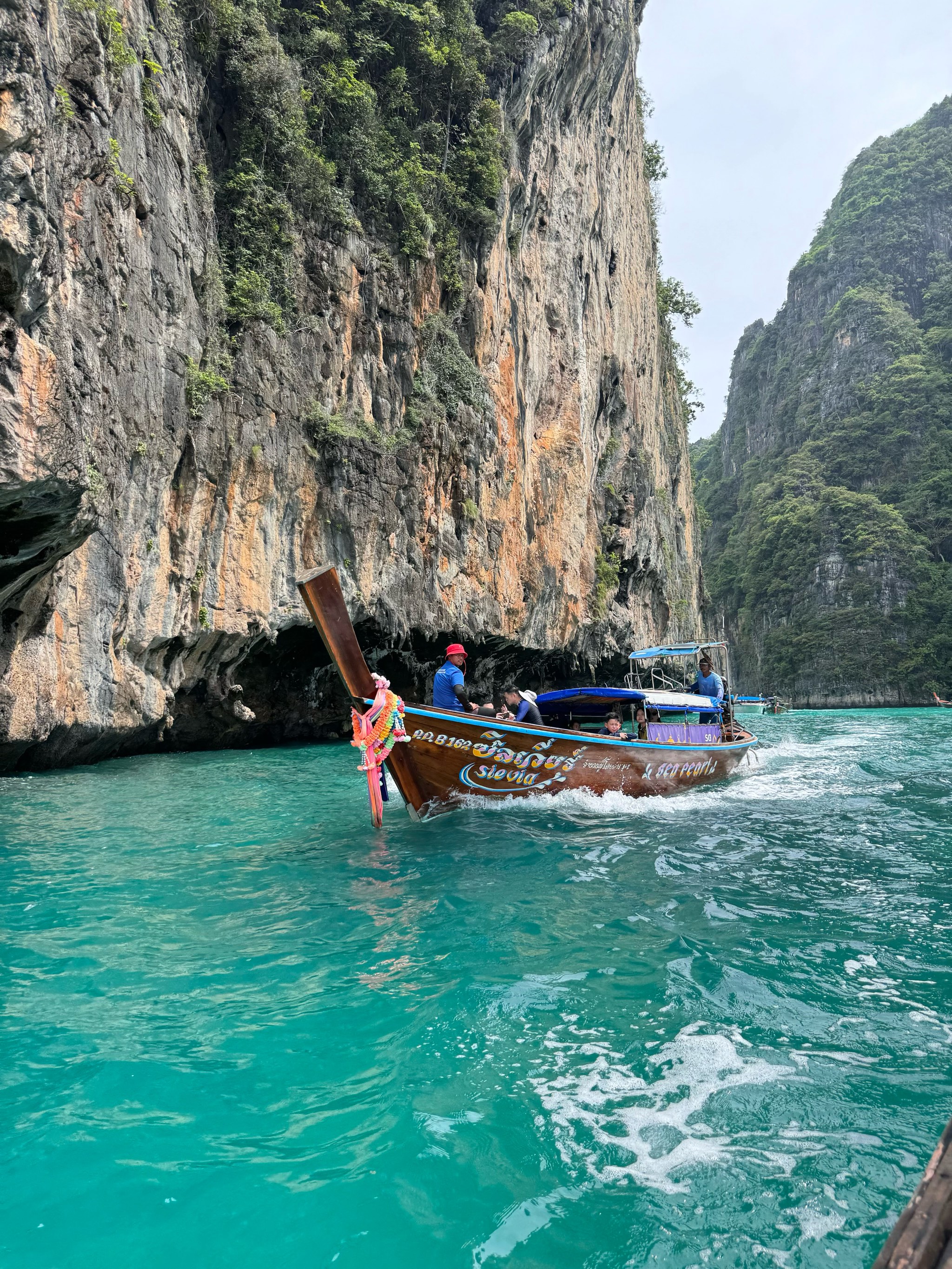 皮皮船表情包图片