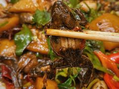 林蛙-鑫正兴东北烧烤(滨湖店)