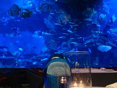 -迪拜帆船酒店海底餐厅