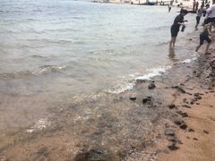 -阳光海岸