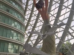 -凤凰中心