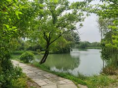 -西溪国家湿地公园