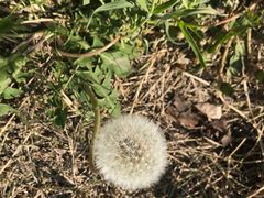 -汉长安城未央宫国家考古遗址公园